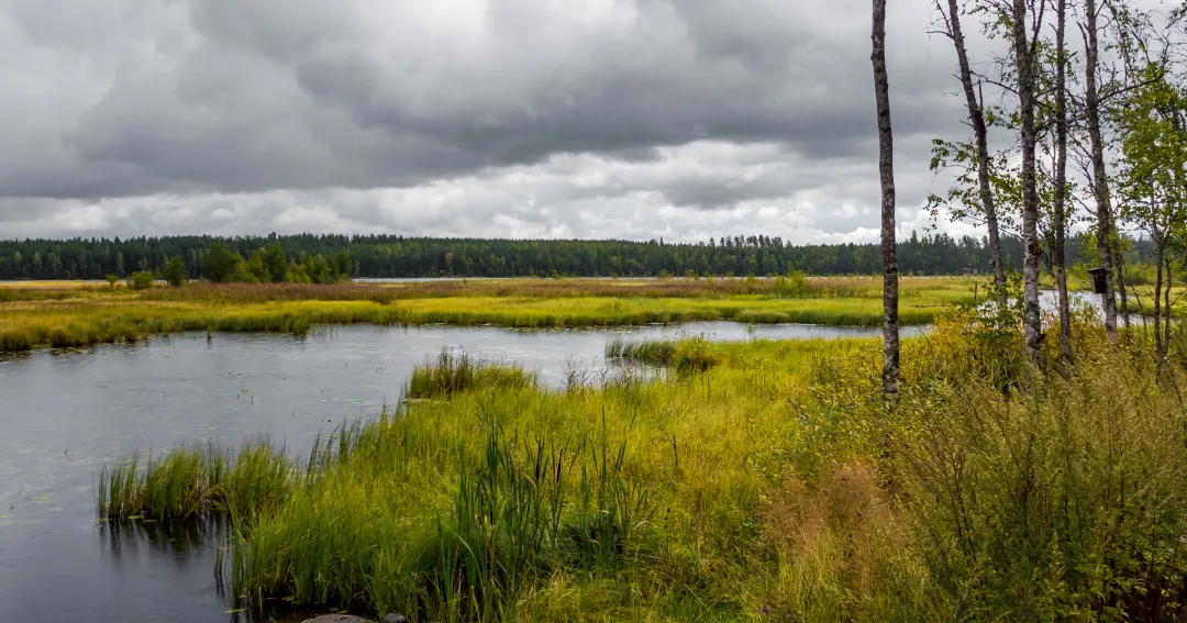 Lake system in Finland